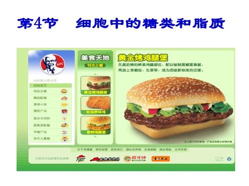 細胞中的糖類和脂質下載 生物