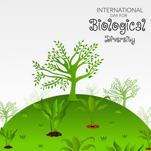 植物區(qū)系研究工業(yè)圖片-植物區(qū)系研究工業(yè)素材-植物區(qū)系研究工業(yè)插畫-攝圖新視界