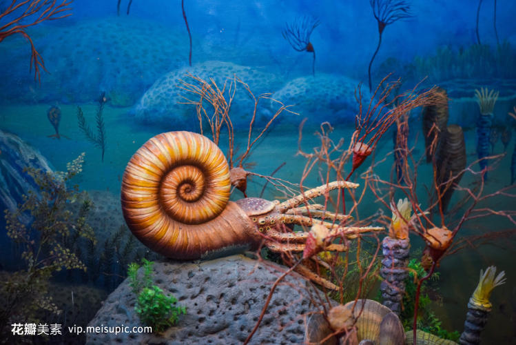 博物館里的史前巨獸 探秘第四紀生物模型