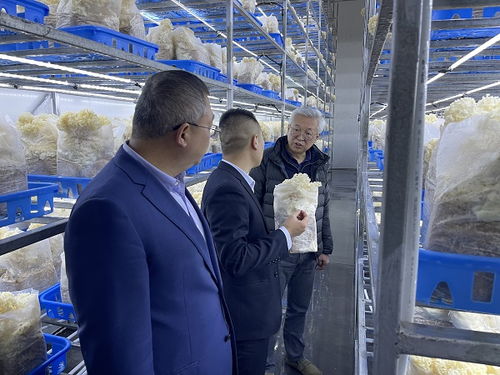 趙衛(wèi)深入商洛開展企業(yè)管理咨詢調(diào)研，助力區(qū)域經(jīng)濟(jì)發(fā)展